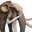 Icon mastodon.png