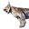 Icon bobcat carcass.png