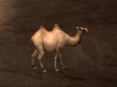 Camel Pet Official Conan Exiles Wiki