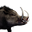 Icon pet Boar Alpha.png