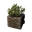 Icon PlantPot06