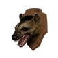 Icon trophy hyena