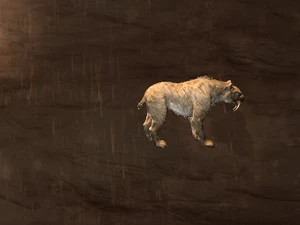 Sabretooth