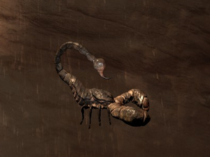 Tamed Scorpion