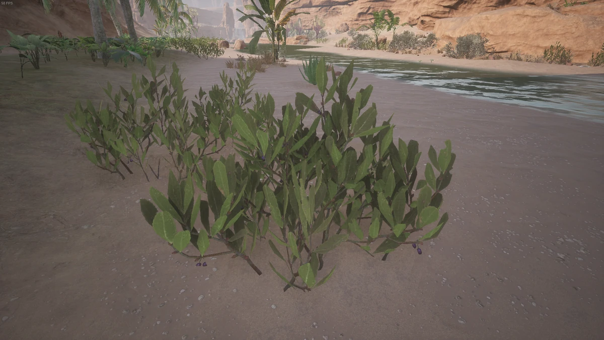 Desert Berries Official Conan Exiles Wiki