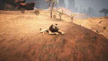 A Lion in the The Crowngrove Savanna.