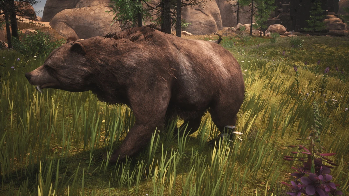 Brown Bear Official Conan Exiles Wiki