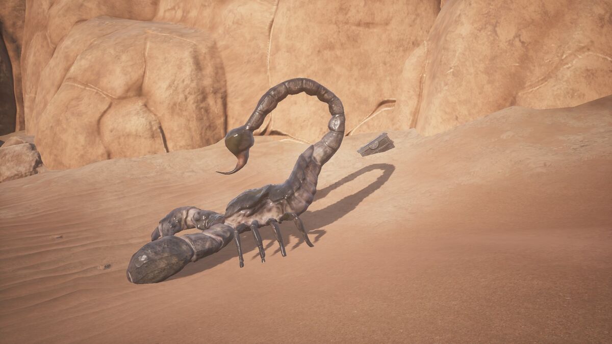 Скорпион Король пустыни