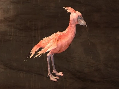 Shoebill (Variant B) - Official Conan Exiles Wiki