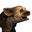 Icon baby SpottedHyena.png