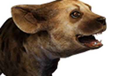 HYENA STATION  Silicon Valley: The Rocket-equipped Hyena - IGN