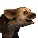 糞便 Conan Exiles Wiki 官方流放者柯南百科