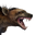 Icon pet HyenaSpotted.png