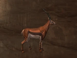 Gazelle Pet Official Conan Exiles Wiki