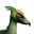 Icon pet JungleBird Green.png