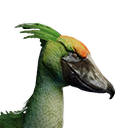 その他 shoebill Shoebill with a dignified face -part 1- ｜ Ueno Zoological