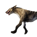 Icon scavenger carcass