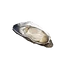 Icon cooked oyster