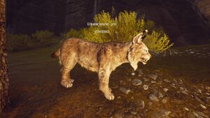 Greater Island Lynx (Pet) - Official Conan Exiles Wiki
