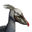 Icon pet JungleBird Grey.png