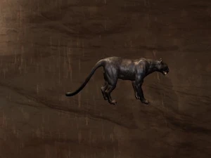 Panther