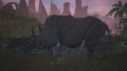 Rhino King 1.jpg