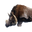 Icon tuskbeast carcass.png