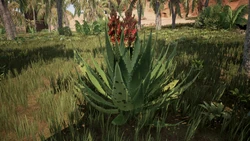 aloe vera 5 jahre ALEO Aloe Vera Premium 1,5L – ALEO Aloe-Vera-Getränke main image 0
