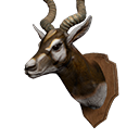 Icon trophy antilope
