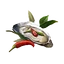 Icon spiced oyster