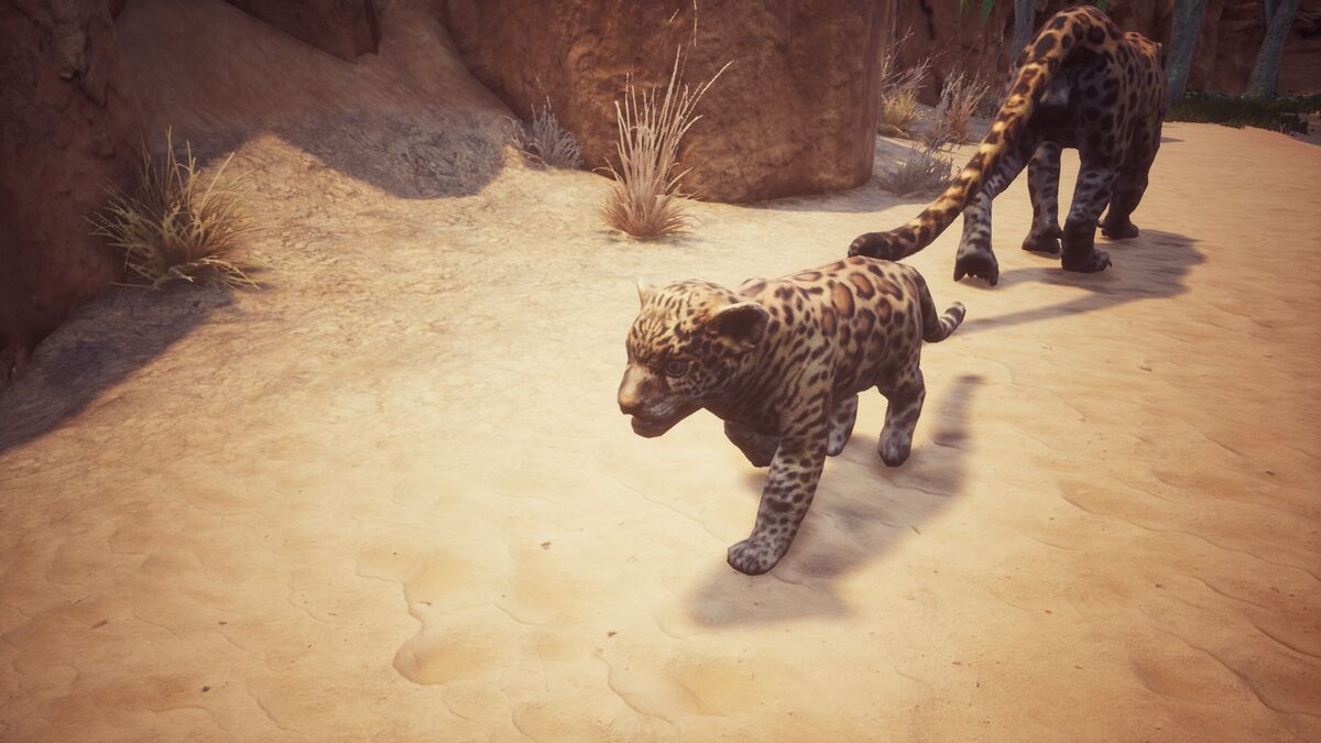 Jaguar Cub Official Conan Exiles Wiki