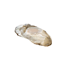 Icon oyster flesh