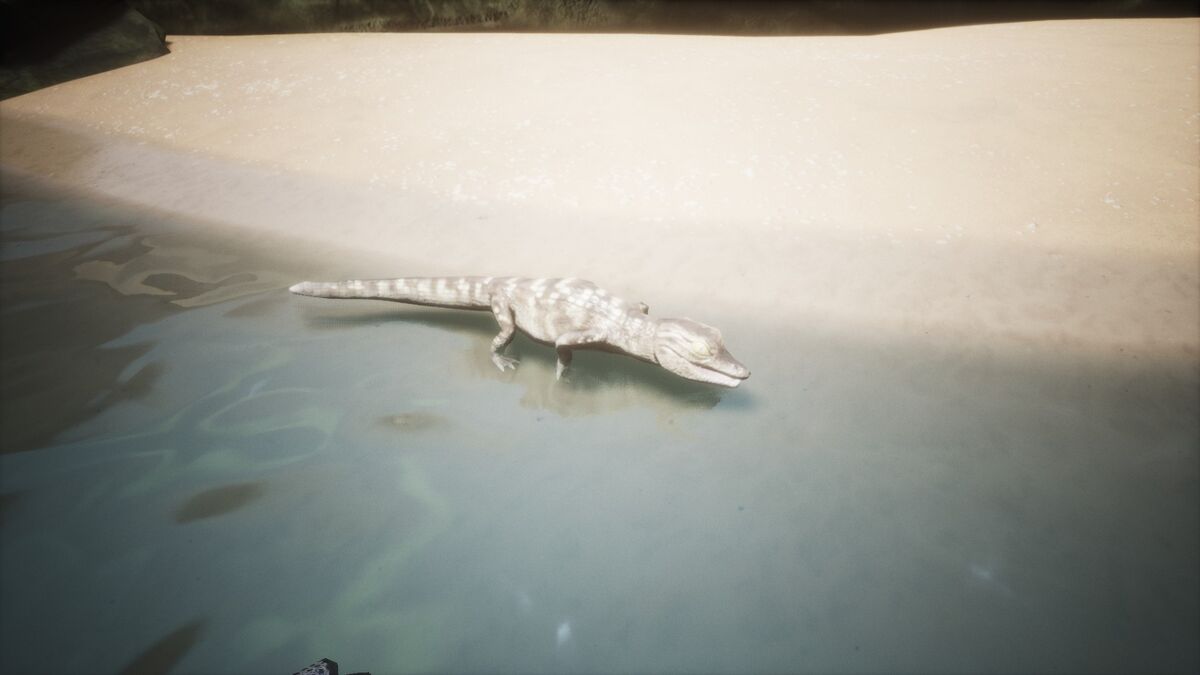 Crocodile Hatchling - Official Conan Exiles Wiki