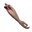 Icon severed arm