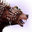 Icon pict bearpet.png