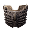 Dragonbone Shield