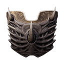 Icon dragonbone shield