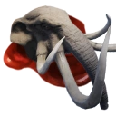 Icon head mastodon