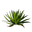 Icon aloe leaves.png
