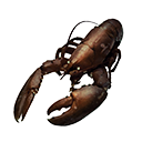 Icon rawGoodShellFish