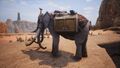 Turanian Caravan Elephant (Pet) 02.jpg