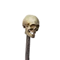 Icon skull stick1
