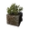 Icon PlantPot07