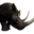 Icon pet RhinoPet Black.png