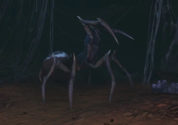 Demon Spider in the Wine Cellar dungeon.