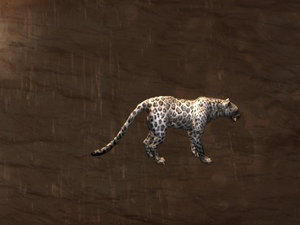 Greater Jaguar