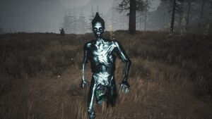 Wight