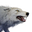 Icon pet Wolf Alpha.png