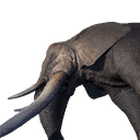 Icon ElephantDead