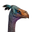 Icon pet Ostrich